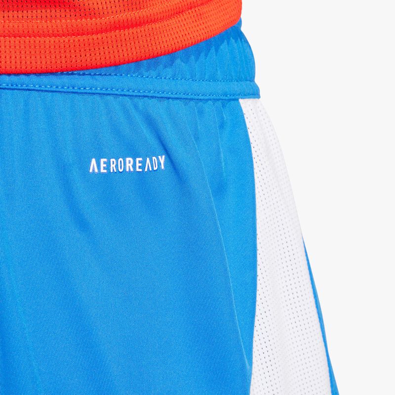 adidas Shorts Local Chile 2024
Shorts fútbol hombre