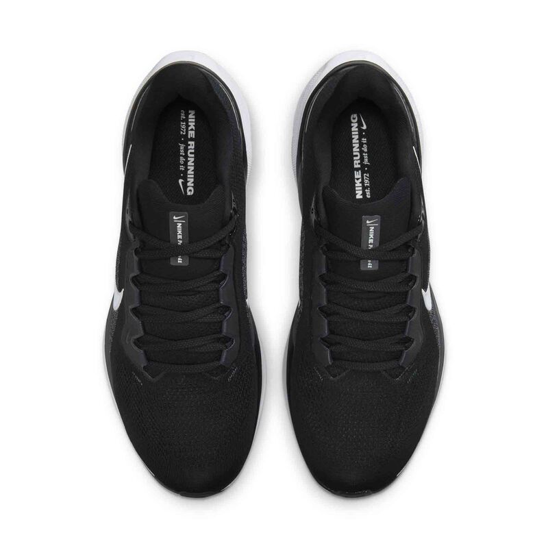 Nike Pegasus 41