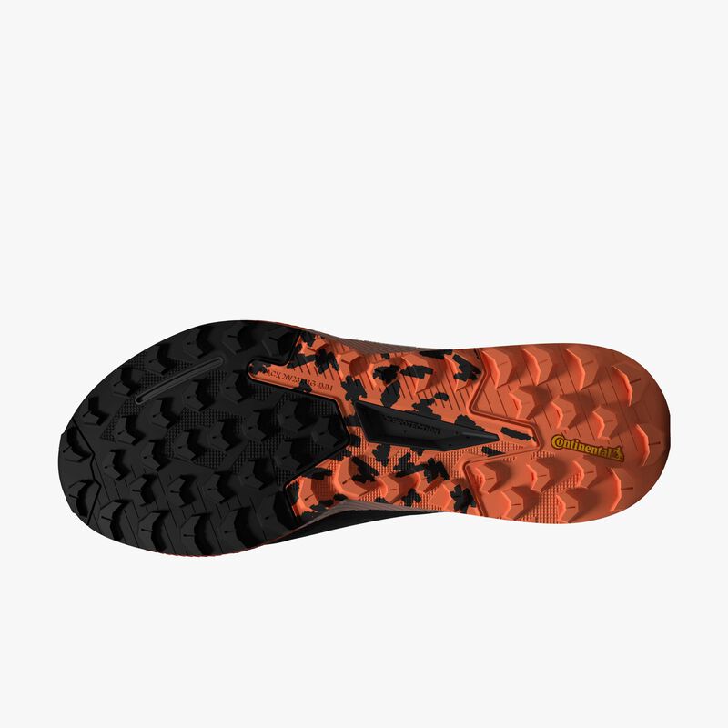 adidas Zapatillas Trail Running Terrex Agravic Flow 2.0