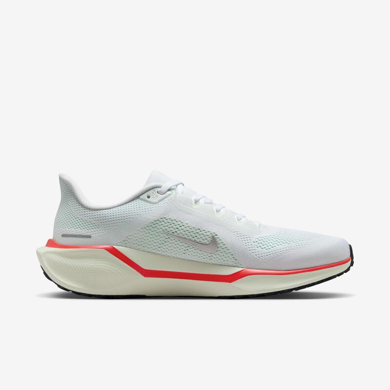 Nike Pegasus 41
