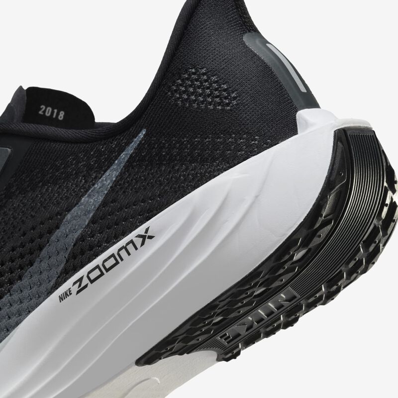 Nike Pegasus Plus
Zapatillas correr hombre