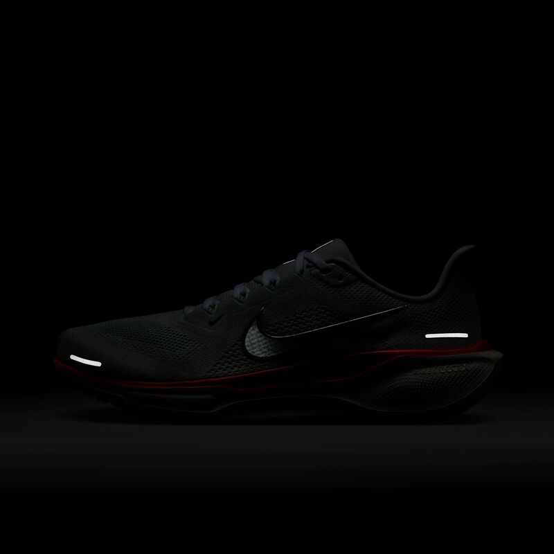 Nike Pegasus 41